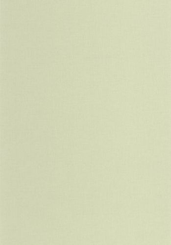 Papier  Peint Uni Caselio