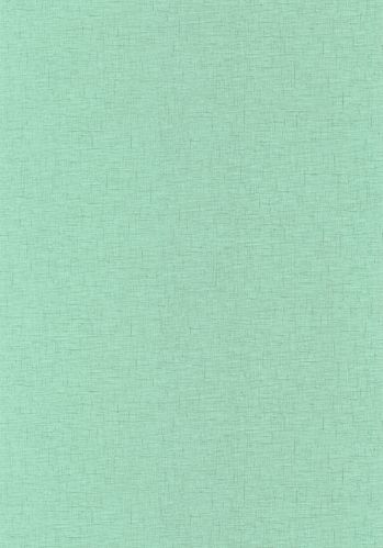 Papier  Peint Uni Gaze Caselio