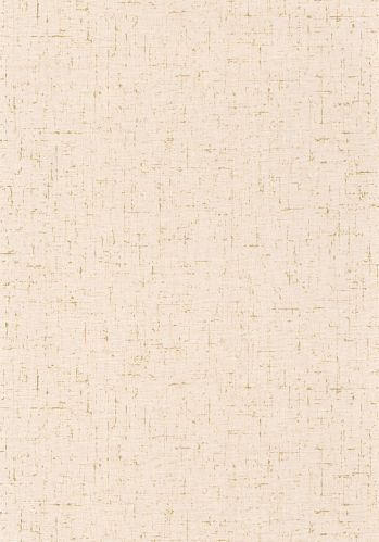 Papier  Peint Gaze Metal Caselio