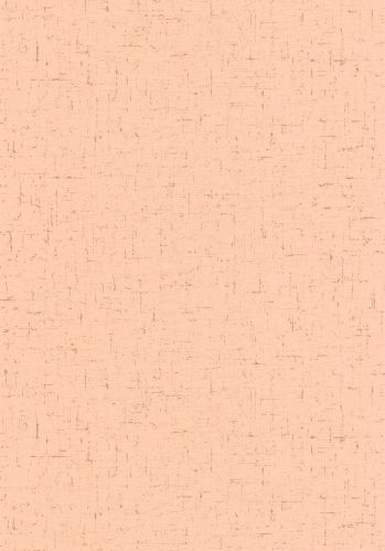 Papier  Peint Gaze Metal Caselio