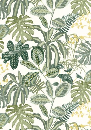 Echantillon Papier Peint Manaus Caselio