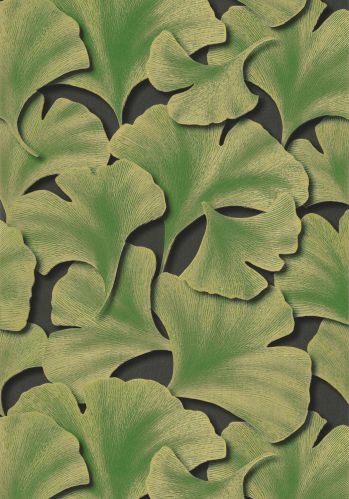 Echantillon Papier Peint Biloba Casadeco