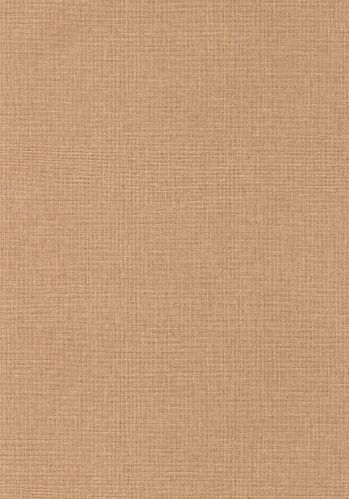 Echantillon Papier Peint Uni Mat Caselio