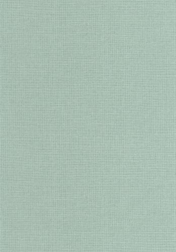 Echantillon Papier Peint Uni Mat Caselio