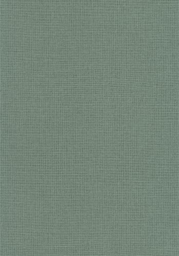 Papier  Peint Uni Mat Caselio