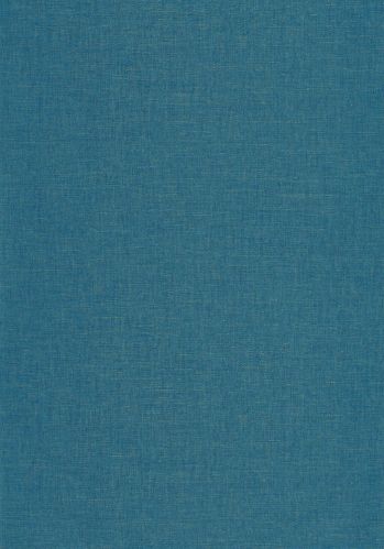 Papier  Peint Uni Metallise/irise Caselio