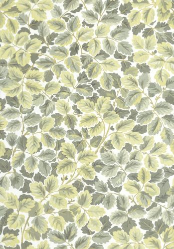 Papier  Peint Regent's Park Casadeco