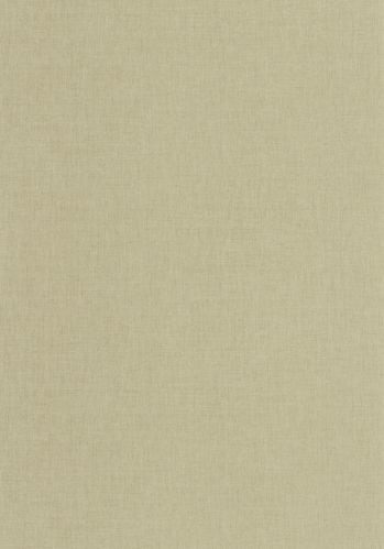 Papier  Peint Uni Caselio