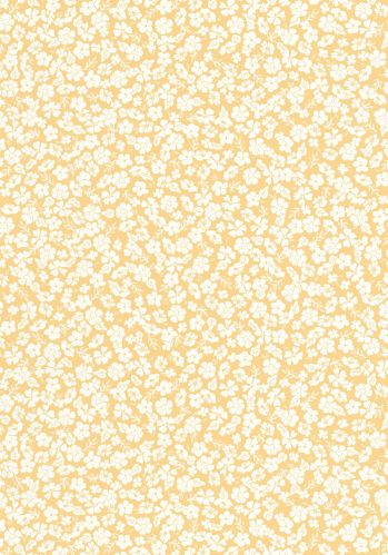 Echantillon Papier Peint Funny Caselio