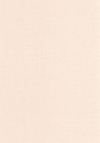 Echantillon Papier Peint Uni Mat Caselio