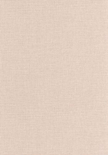 Echantillon Papier Peint Uni Mat Caselio