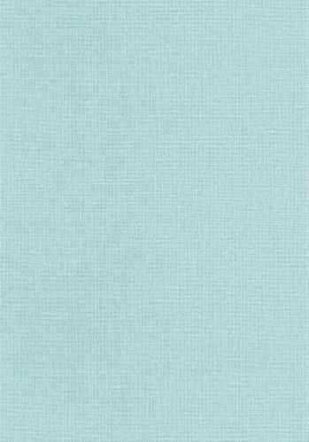 Papier  Peint Uni Mat Caselio