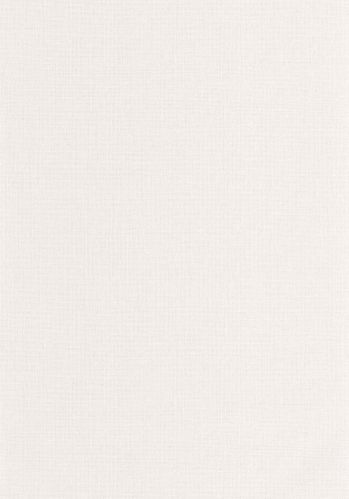 Papier  Peint Uni Mat Caselio