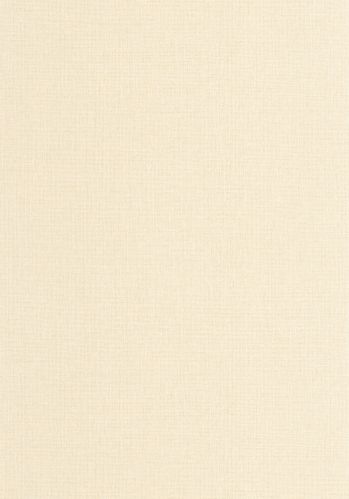 Echantillon Papier Peint Uni Mat Caselio