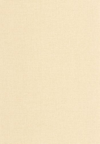 Papier  Peint Uni Mat Caselio