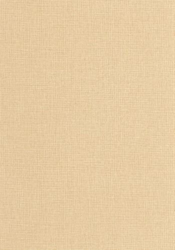 Echantillon Papier Peint Uni Mat Caselio