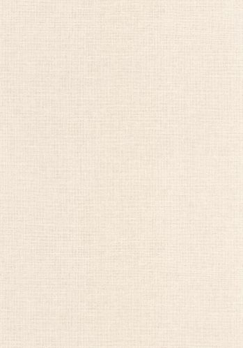 Papier  Peint Uni Mat Caselio
