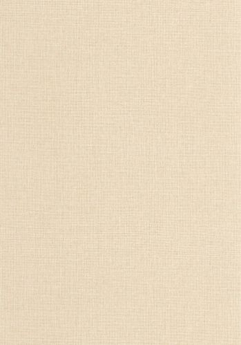 Papier  Peint Uni Mat Caselio
