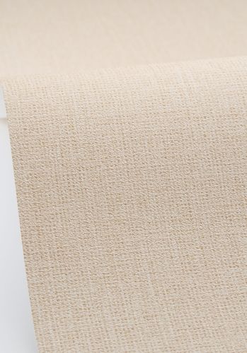 Papier  Peint Uni Mat Caselio