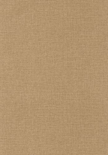 Echantillon Papier Peint Uni Mat Caselio