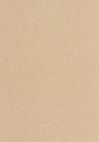 Echantillon Papier Peint Uni Mat Caselio