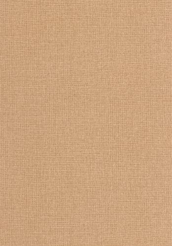 Echantillon Papier Peint Uni Mat Caselio