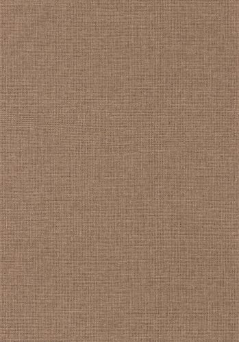 Papier  Peint Uni Mat Caselio