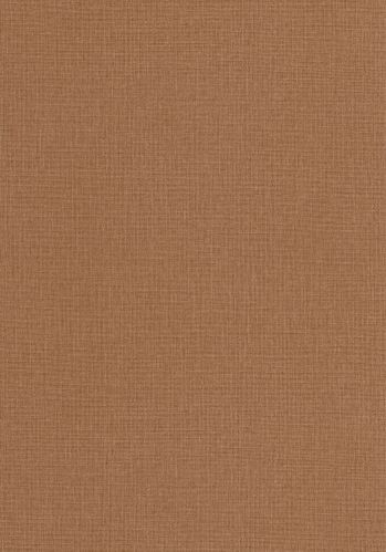 Papier  Peint Uni Mat Caselio