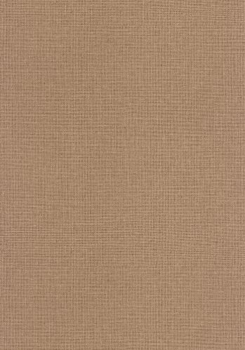 Papier  Peint Uni Mat Caselio