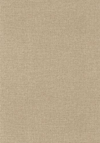 Papier  Peint Uni Mat Caselio