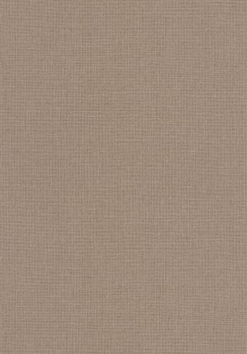 Papier  Peint Uni Mat Caselio