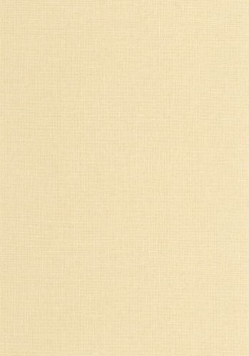 Echantillon Papier Peint Uni Mat Caselio