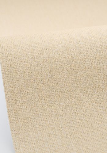 Echantillon Papier Peint Uni Mat Caselio