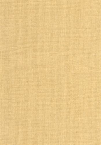 Echantillon Papier Peint Uni Mat Caselio
