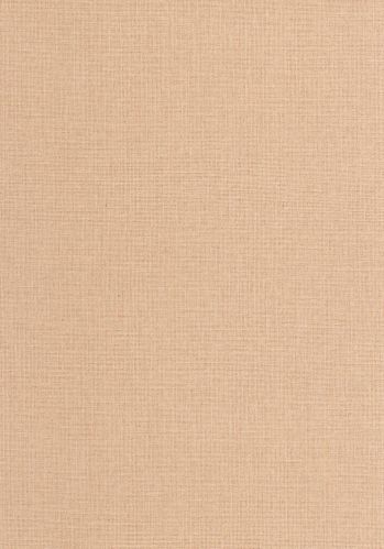 Echantillon Papier Peint Uni Mat Caselio
