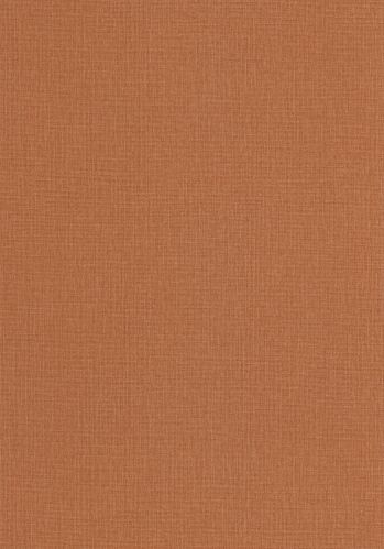 Papier  Peint Uni Mat Caselio