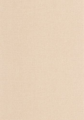 Echantillon Papier Peint Uni Mat Caselio