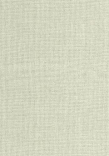 Echantillon Papier Peint Uni Mat Caselio