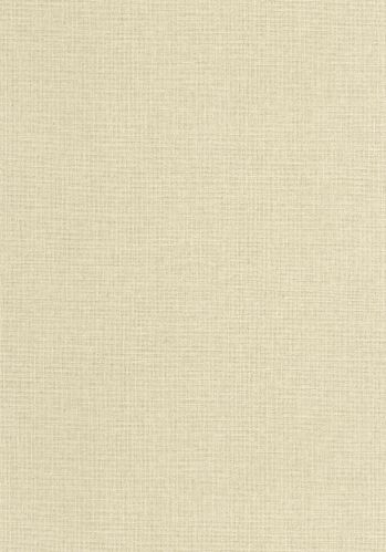 Papier  Peint Uni Mat Caselio