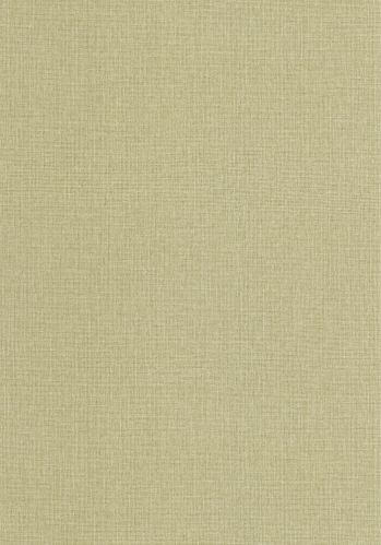 Papier  Peint Uni Mat Caselio