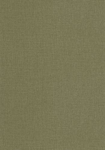 Echantillon Papier Peint Uni Mat Caselio