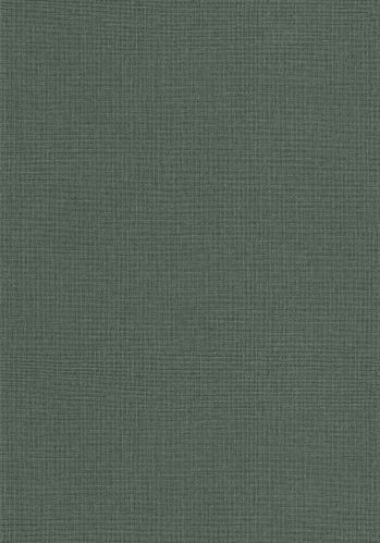 Papier  Peint Uni Mat Caselio