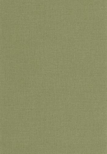 Papier  Peint Uni Mat Caselio
