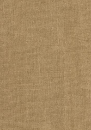 Echantillon Papier Peint Uni Mat Caselio