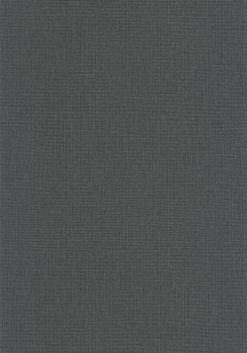 Papier  Peint Uni Mat Caselio