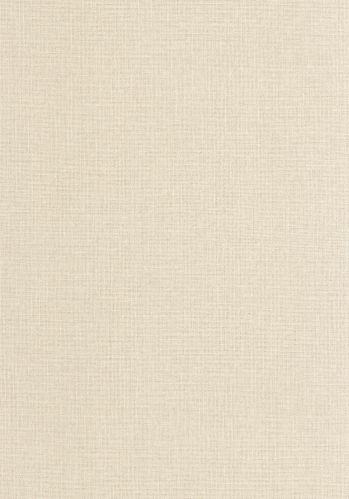Papier  Peint Uni Mat Caselio