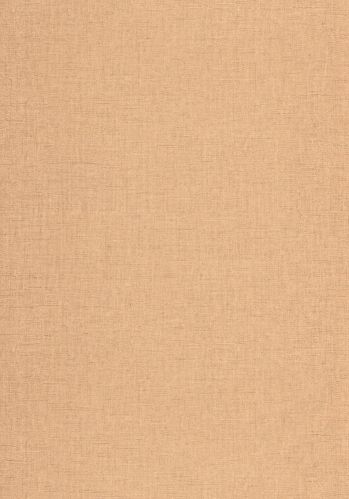 Papier  Peint Uni Metallise/irise Caselio
