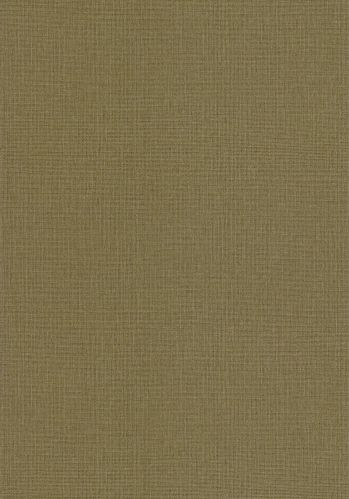 Papier  Peint Uni Mat Caselio