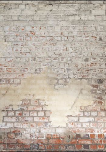 Panoramique Brickwall 212 X 250 Caselio