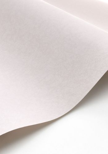 Papier  Peint Leathers Suedine Casadeco